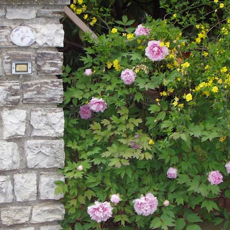 Bedizzole B&B Il Glicine المظهر الخارجي الصورة