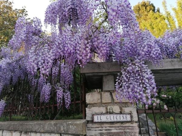 Bedizzole B&B Il Glicine المظهر الخارجي الصورة