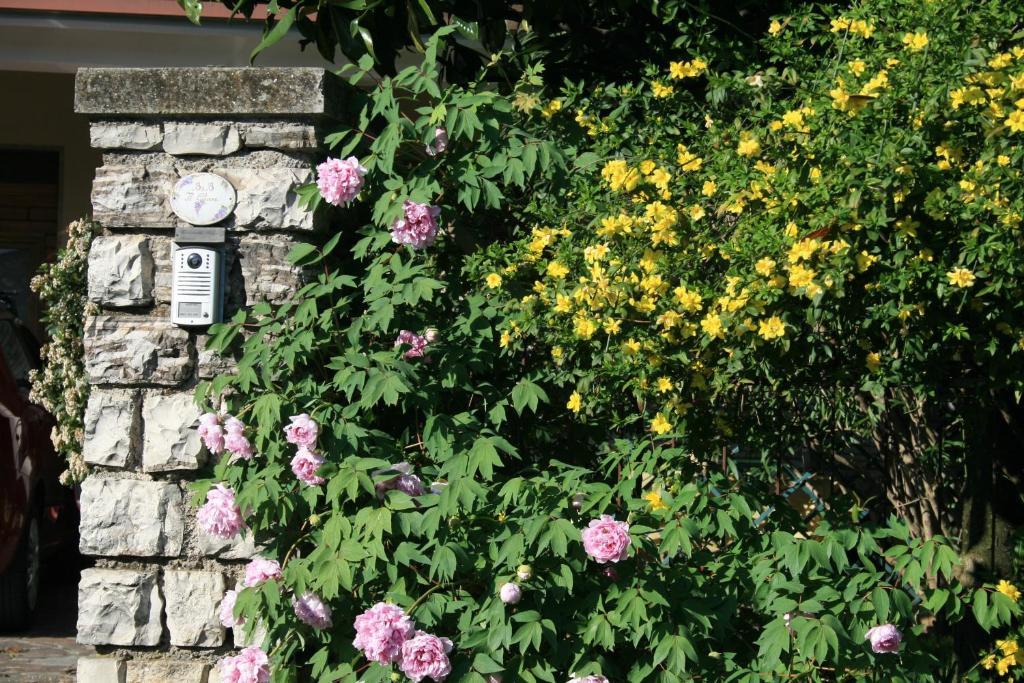 Bedizzole B&B Il Glicine المظهر الخارجي الصورة